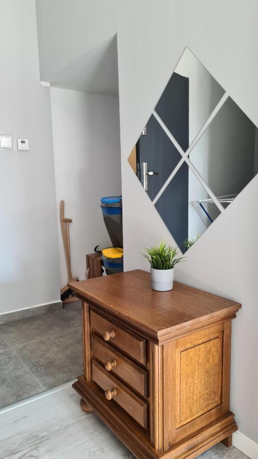 Urocze Apartamenty Na Wsi Goledzinow ภายนอก รูปภาพ